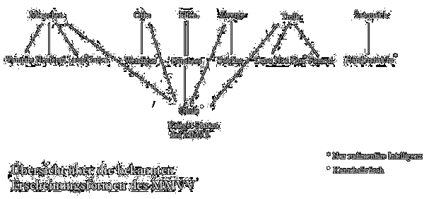 Übersicht über die bekannten Erscheinungsformen des MMVV
